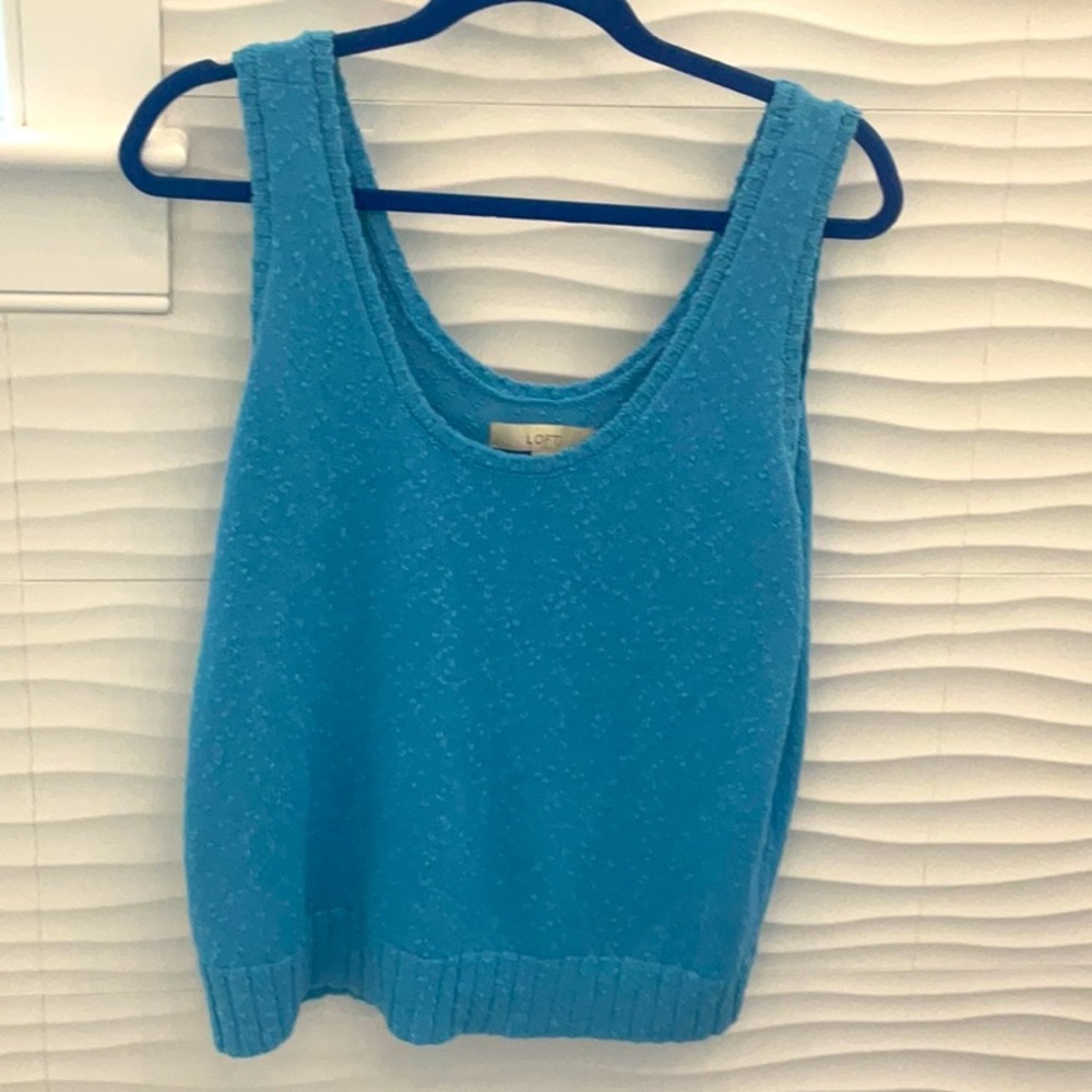 Adorable NWT blue Loft top